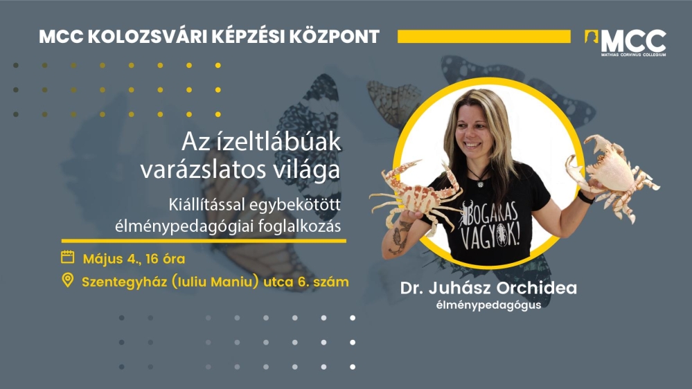 cover_Juhasz Orchidea_Kolozsvar.jpg